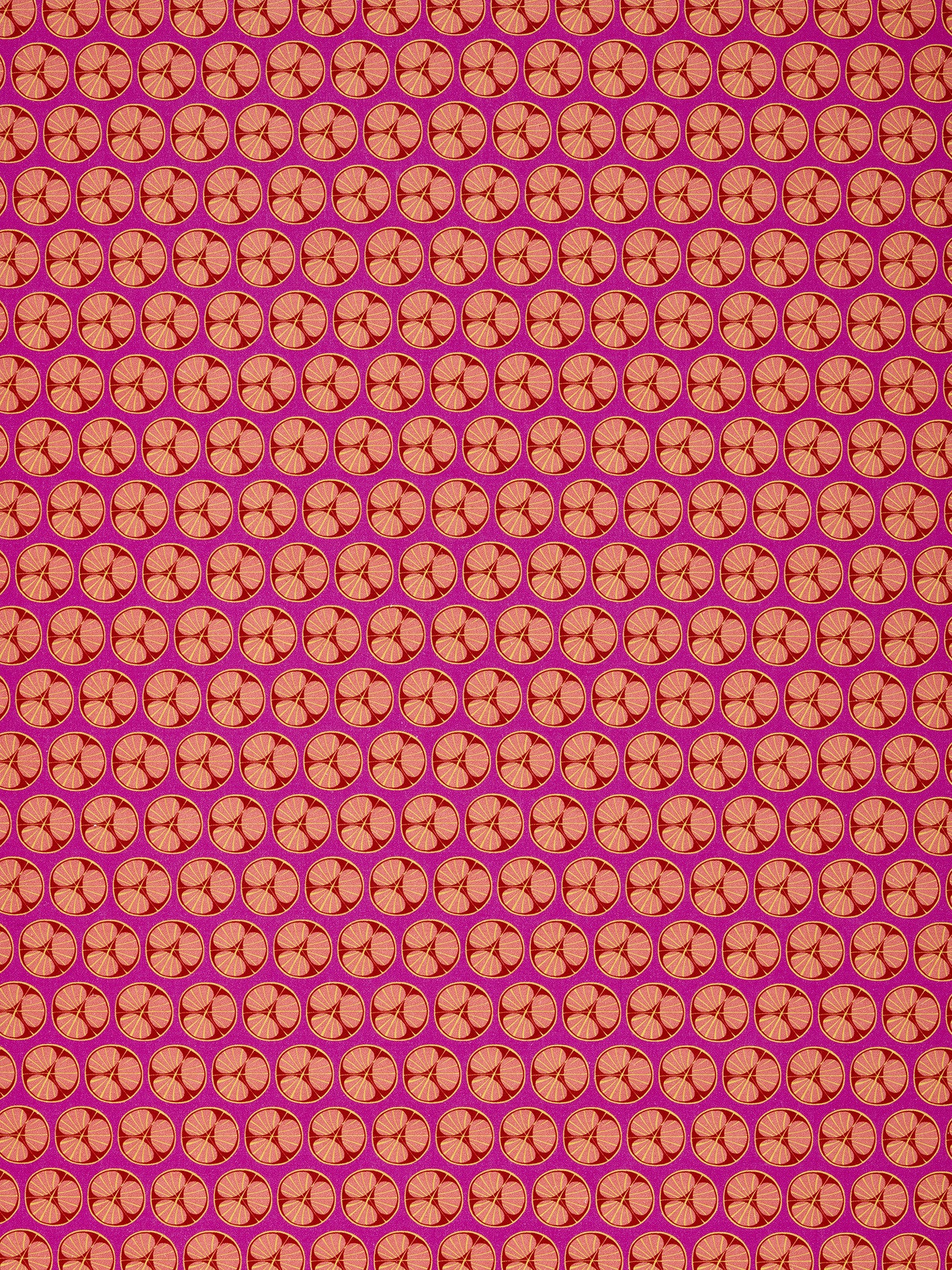Graphic Cross Section of Fruit  Pattern Printed Linen Cotton Canvas Fabric in Fuchsia Pink, Red, Coral