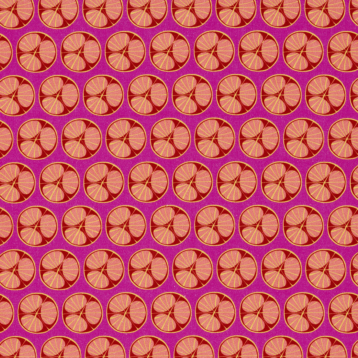 Graphic Cross Section of Fruit Pattern Printed Linen Cotton Canvas Fabric in Fuchsia Pink, Red, Coral