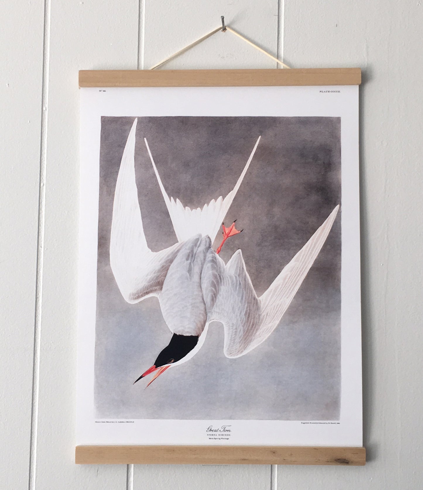 Magnetic Wooden Poster Hanger made from Ramin size 12", 16", 20", 28", 36", 40", 30cm, 40cm, 50cm, 70cm, 90cm, 100cm