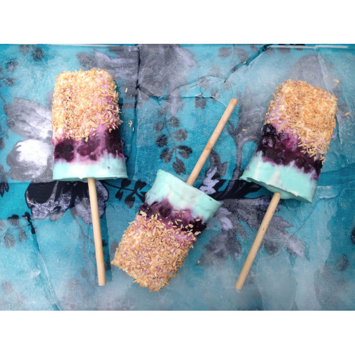 Blueberry-coconut-ice-cream-bars-homemade-recipe