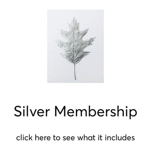 Silver Membership