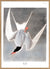 Great Tern Art Poster Print 30x40cm 12x16" Dybdahl now in Canada