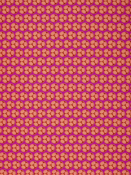 Graphic Cross Section of Fruit  Pattern Printed Linen Cotton Canvas Fabric in Fuchsia Pink, Red, Coral