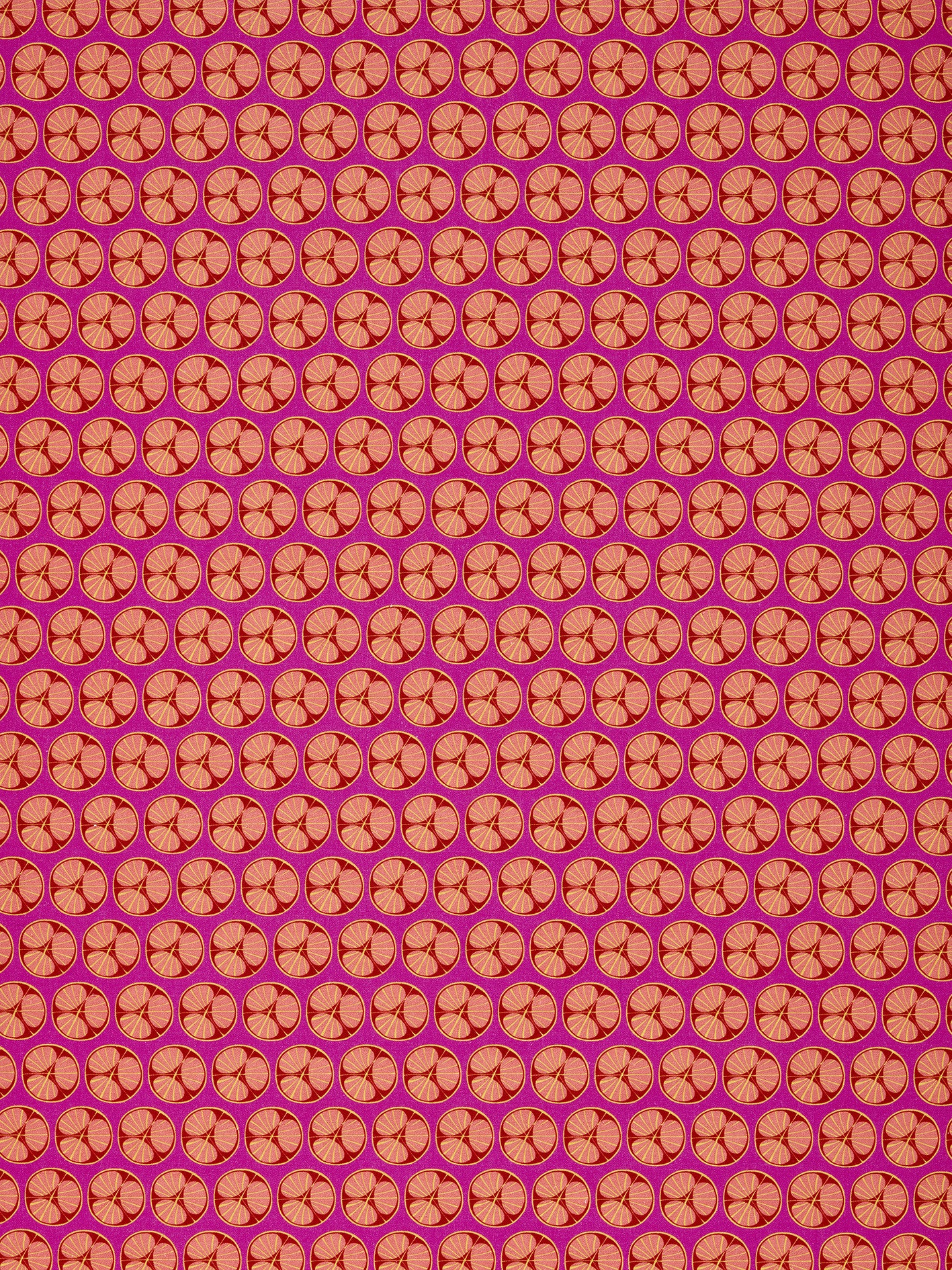 Graphic Cross Section of Fruit  Pattern Printed Linen Cotton Canvas Fabric in Fuchsia Pink, Red, Coral