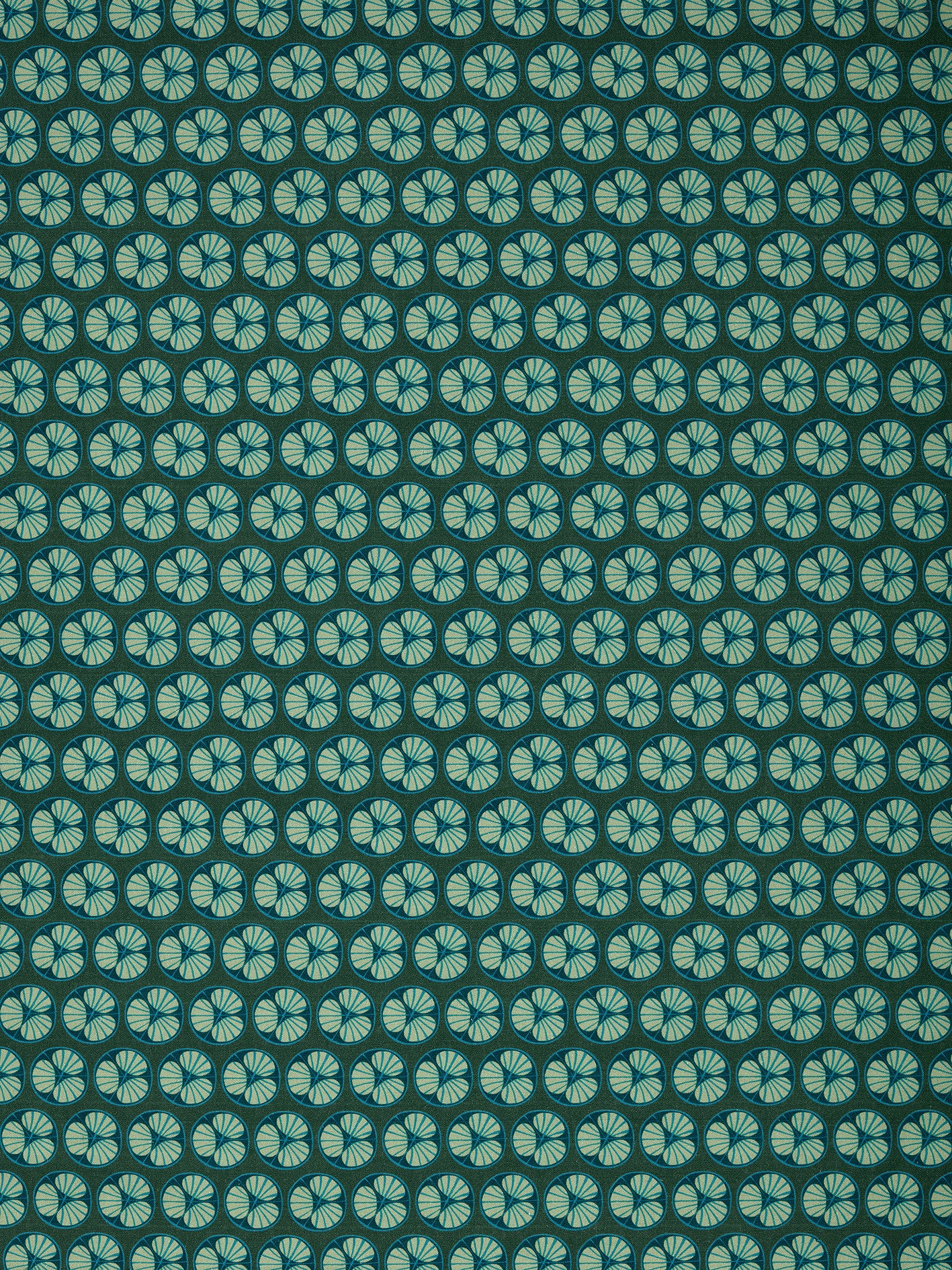 Graphic Cross Section of Fruit Pattern Printed Linen Cotton Canvas Fabric in Dark Moss Green