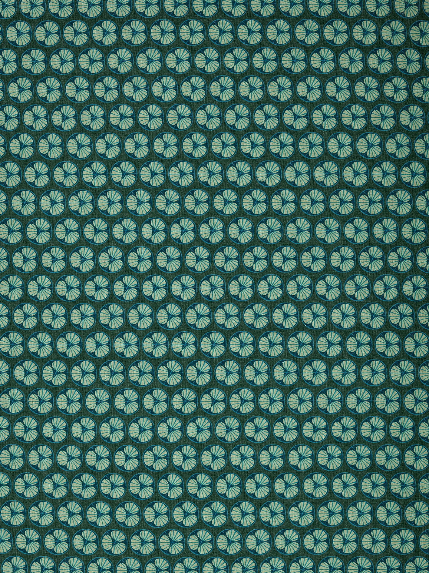 Graphic Cross Section of Fruit Pattern Printed Linen Cotton Canvas Fabric in Dark Moss Green
