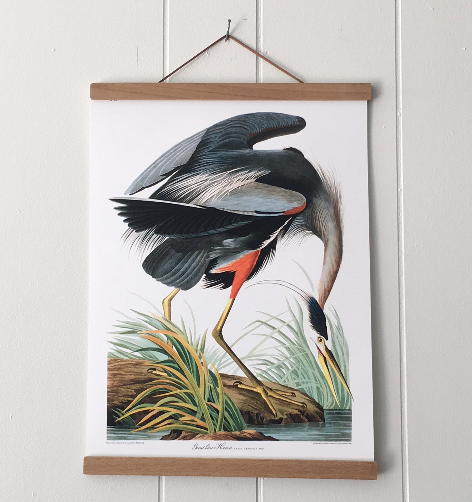 Magnetic Poster Hanger in Teak Wood 12', 16', 20", 28", 36", 40"