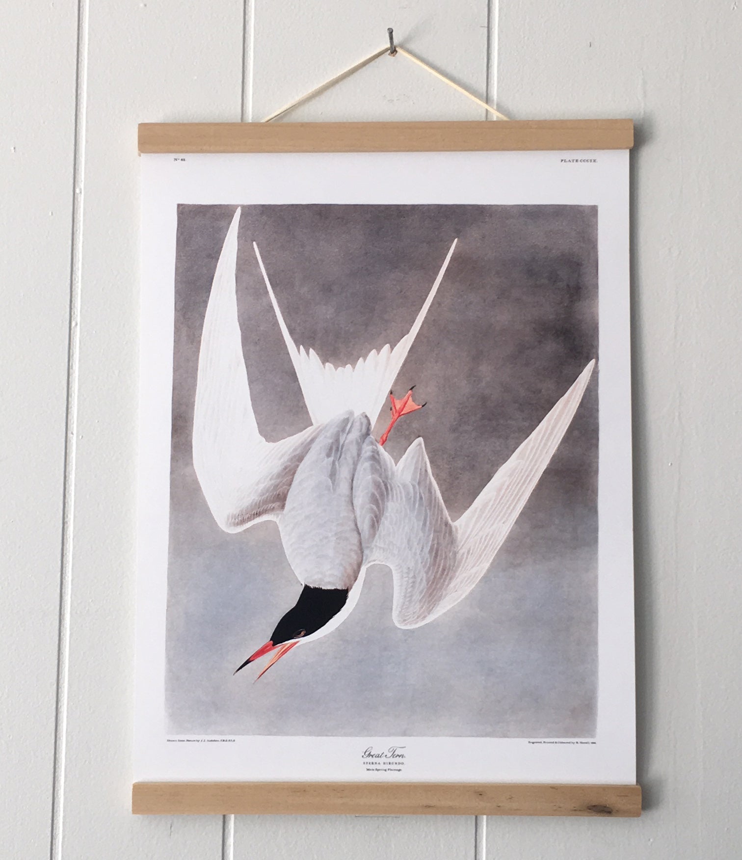 Magnetic Wooden Poster Hanger made from Ramin size 12", 16", 20", 28", 36", 40", 30cm, 40cm, 50cm, 70cm, 90cm, 100cm