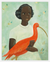 Girl with a Scarlet Ibis by Emily Winfield-Martin