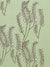 Yuma Graphic Grass Pattern Linen Cotton Canvas Home Interior Decor Fabric by the meter or yard for curtain, blinds or upholstery - Eau de Nil Green - grey - ships from Canada (USA)